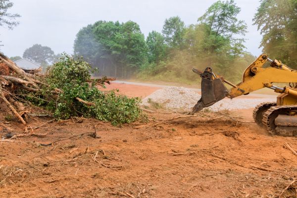 Ground Clearing in Manchester