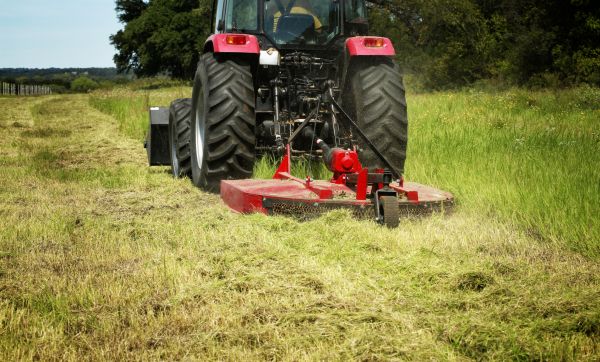 Brush Clearing Service in Manchester