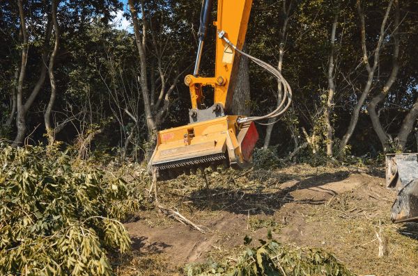 Brush Removal Service in Manchester