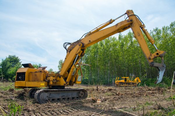 Farm Clearing in Manchester