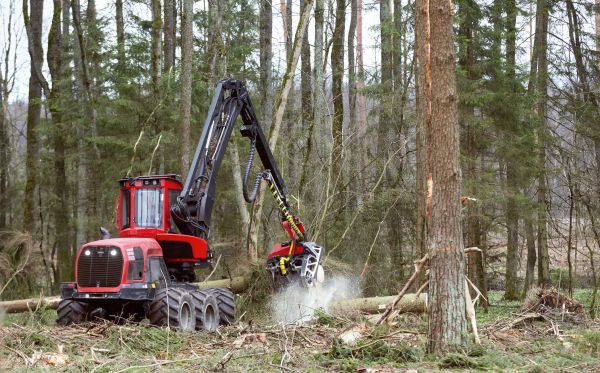 Cost of Forest Clearance Service in Manchester