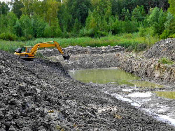 Cost of Lake Lot Clearing in Manchester