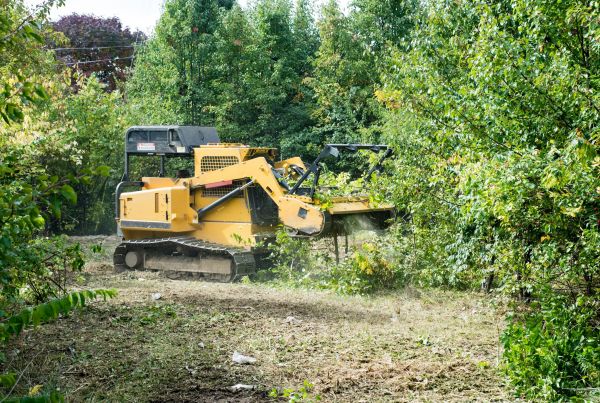 Cost of Pathway Clearing in Manchester