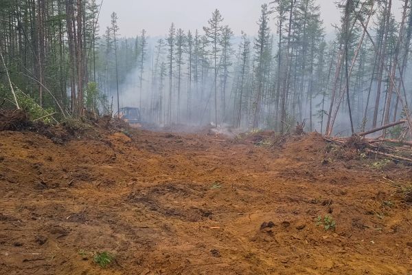 Cost of Hill Clearing in Manchester