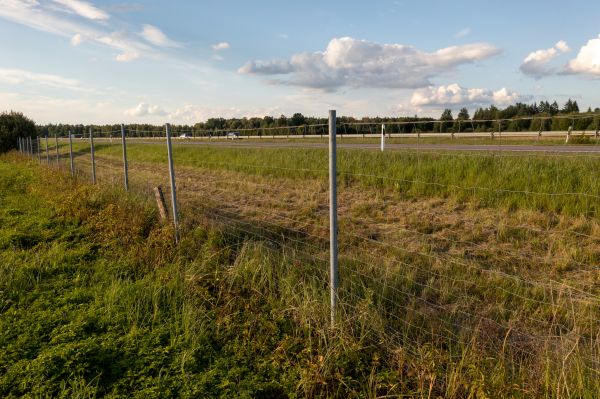 Property Line Clearing in Manchester
