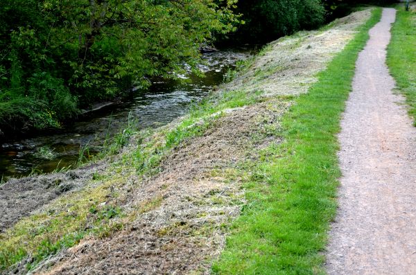 Trail Cutting in Manchester