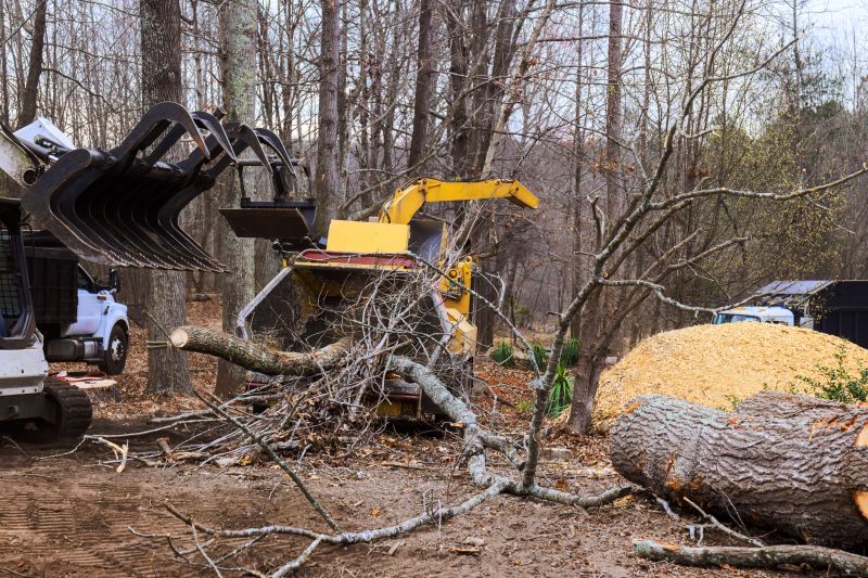 Fall Land Clearing Process